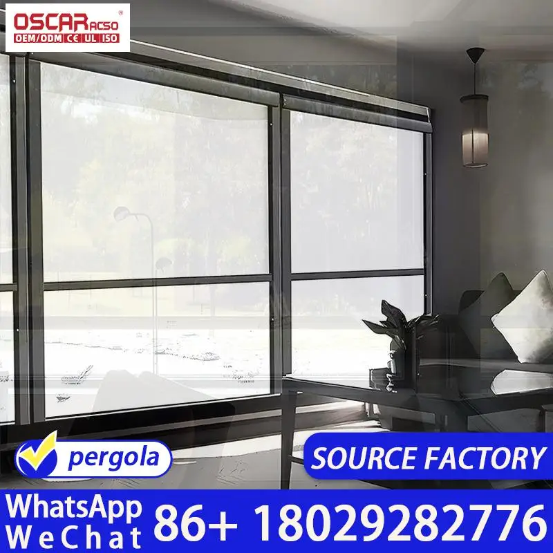 Modern Roller Window Shade French Door Bathroom Builtin Mount Office Hotel Privacy Blackout Light Filter Smart Motorized Minimal