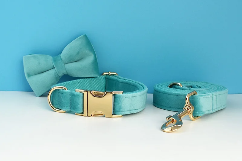 Türkisfarbenes Samt-Hundehalsband und Leinen-Set für Hunde, individuell graviertes Namensschild, Haustierbedarf, Hundeleine, Samt, 40 – Detail 6