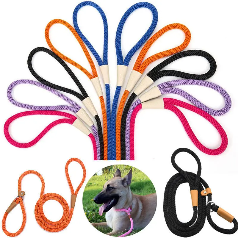 

Adjustable Dog Leash, Dog Collar, Slip Rope, Lead Leash, Heavy Duty Braided Rope, Loop Collar, Training Leashes for Medium and L