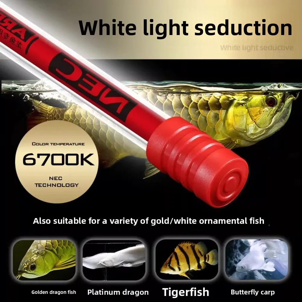 3 Primary Color Fish Tank Light Arowana Special Light Brightening Red/Gold Dragon T8 Waterproof Diving Red/White 6700K/15000K