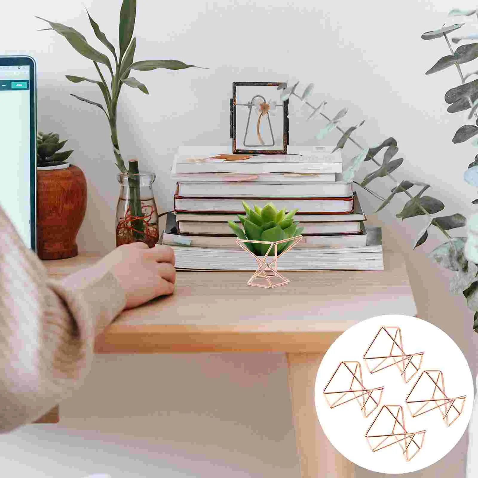 4 Pcs Air Pineapple Stand Plant Holders Terrarium Monitor Stands Indoor Iron Rack for Desktop Suite