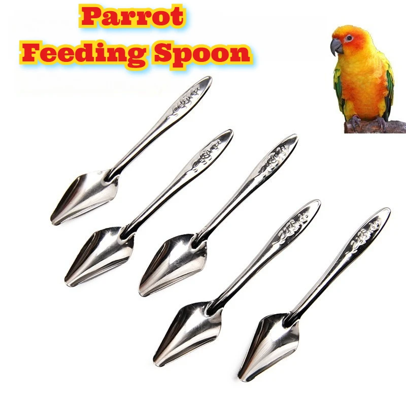

Stainless Steel Bird Feeding Spoon Hand Feeding Tool Cockatiels Parrots Mynah Budgies Chicks Water Milk Dispenser Pet Bird Care