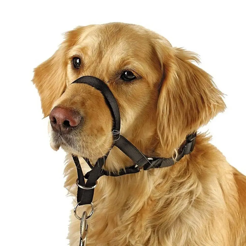 Adjustable Anti barking Non Pull Nylon Leader Harness Dog Head Collar Dog Halter Dog Muzzle