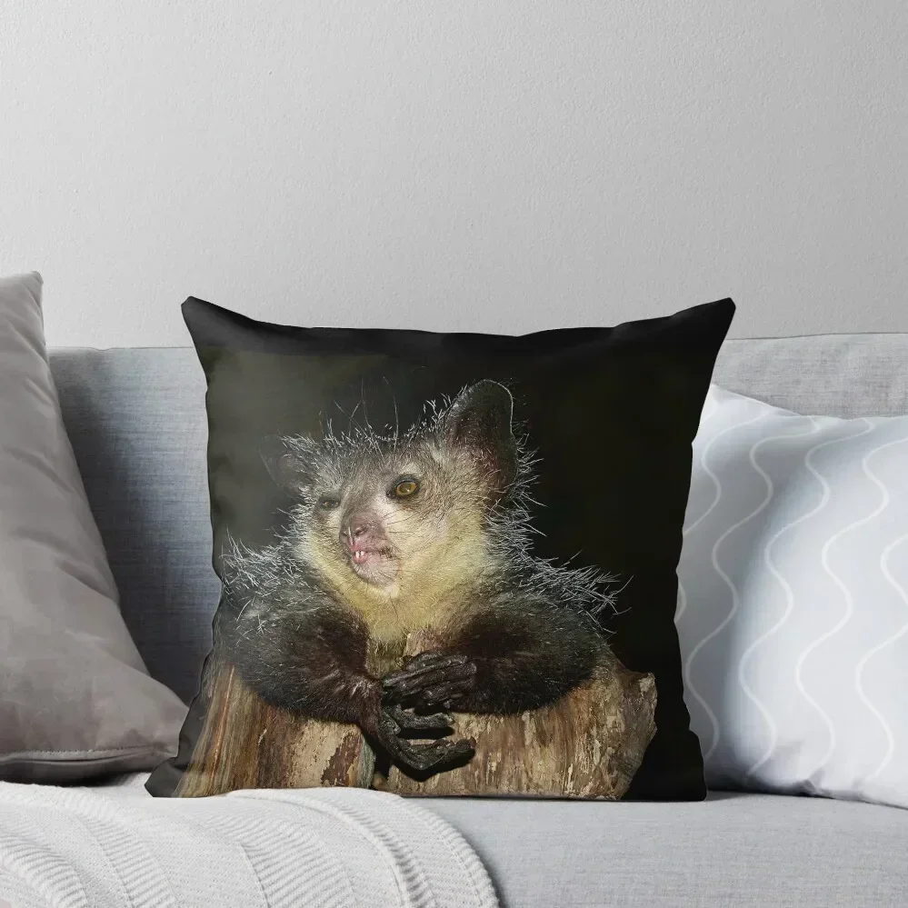 

Aye Aye! Throw Pillow Cushion Cover Set Cushions Cover Decorative Cover For Living Room Anime pillow