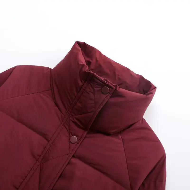 Chaqueta acolchada corta a la moda de invierno para mujer, abrigo de algodón con cuello levantado, Parkas clásicas sólidas, chaquetas abullonadas, abrigo informal dulce que combina con todo