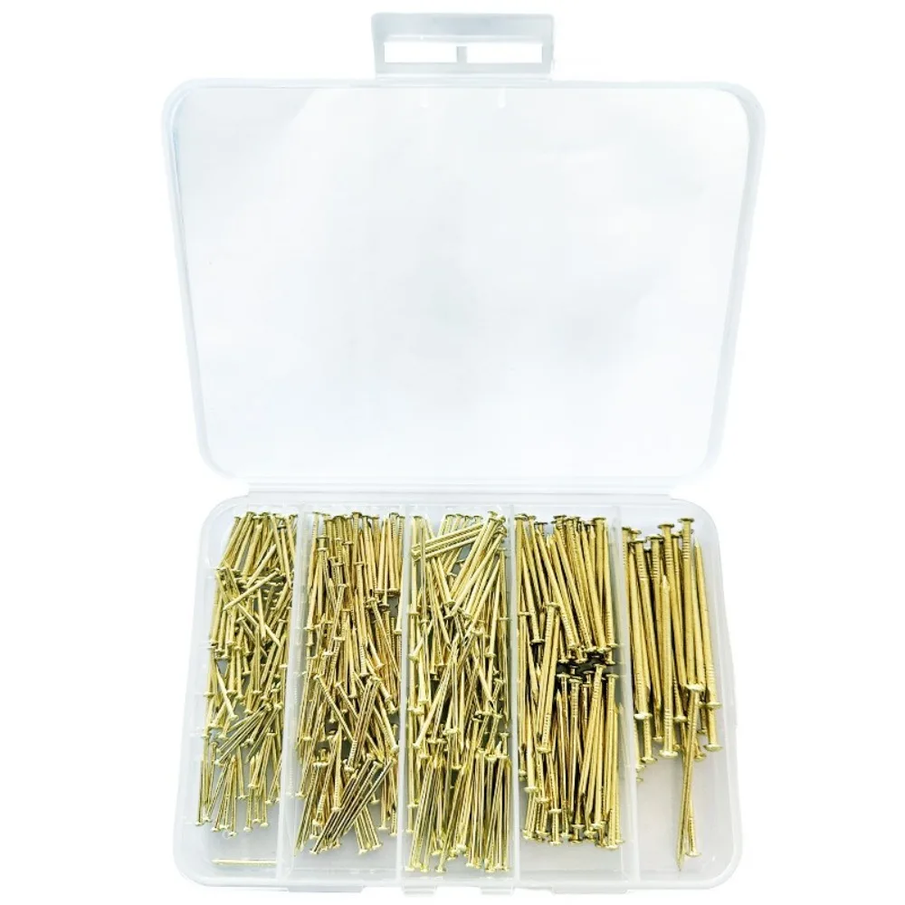 401Pcs Round Head Wall Nails and Hammer Set Iron 5 Sizes Small Nails Assortment Kit Fastener with Storage Box