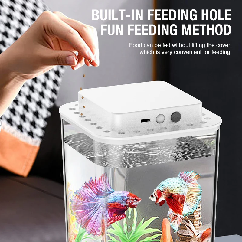 Thumbnail 3 - #9 Latest Desktop Fish Bowls Offers