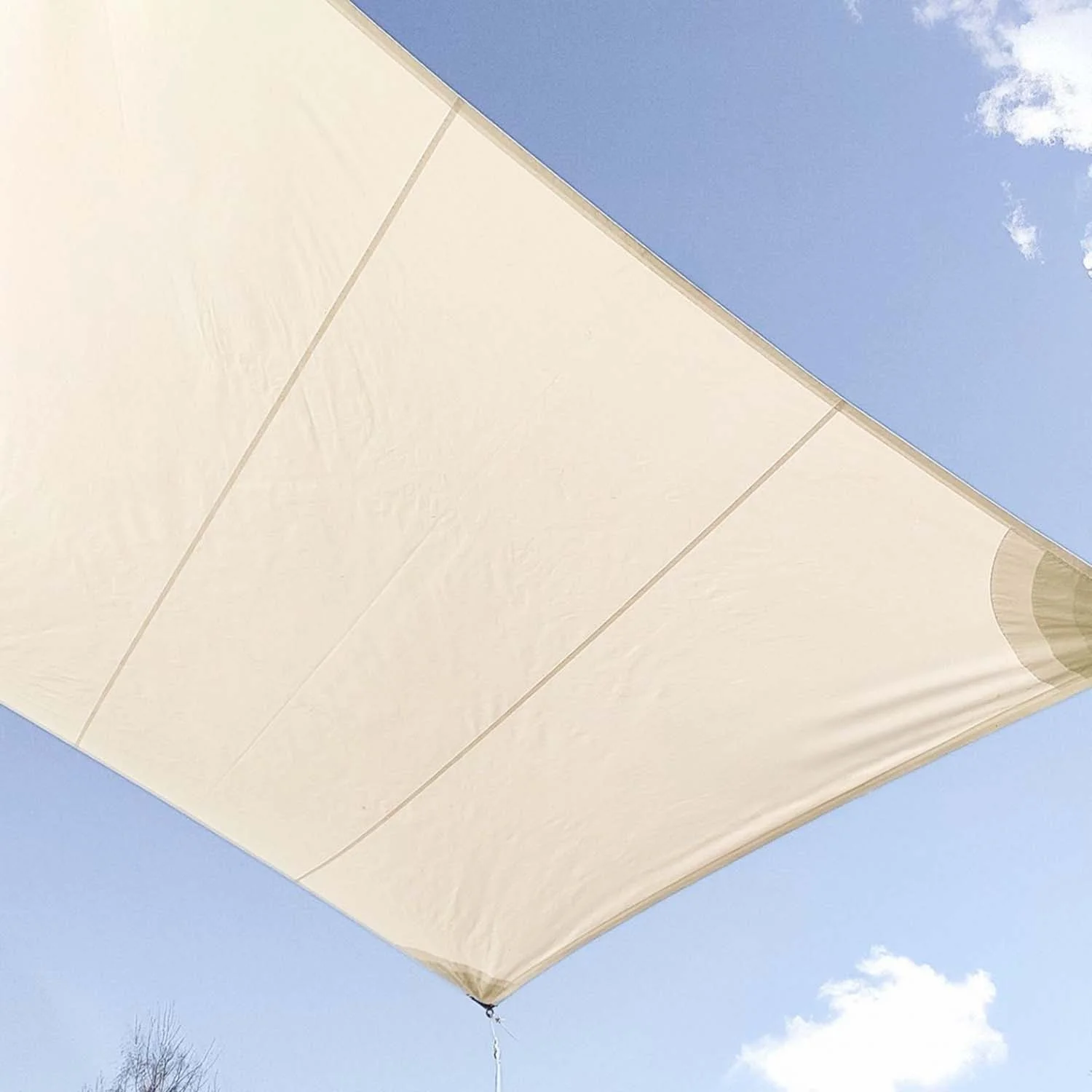 2025 New Origin Agriculture Black Green Blue  Beige & Brown Sunshade Sail/ Raschel Sun Shade Net Roll Type for Protective Plant
