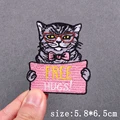 PE8170CT
