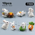 10 piezas Rabbit-T60