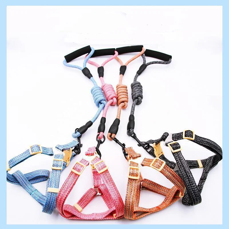 Dog Leash Puppies Cats Non-slip Solid Collars Straps Within 70 Pounds Pet Supplies Three Pieces Accessories Gift Teething Toys