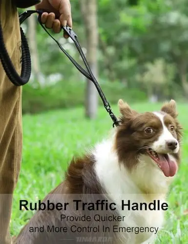 Thumbnail 4 - #56 Reflective Dog Leash Discount Picks