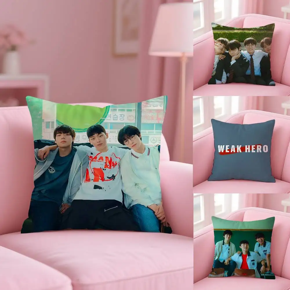 Hot Movie W-Weak Hero Class 1 Pillow Case Anti-dustmite Pillowcase Invisible zipper silky short plush Sofa cushion cover