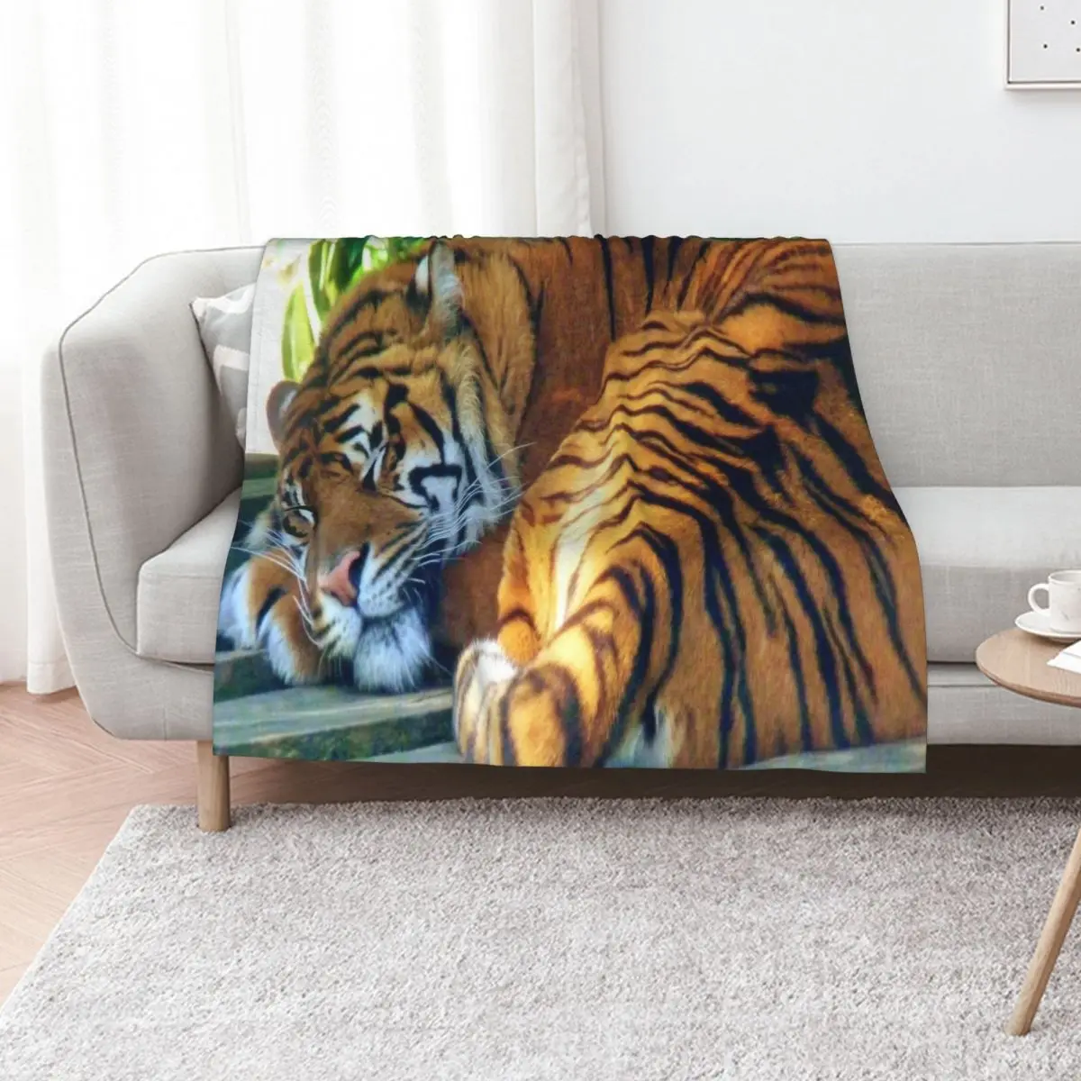 Sleeping Beauty (white background) Throw Blanket Luxury St Custom Thermals For Travel Hair Loose Hairys Blankets