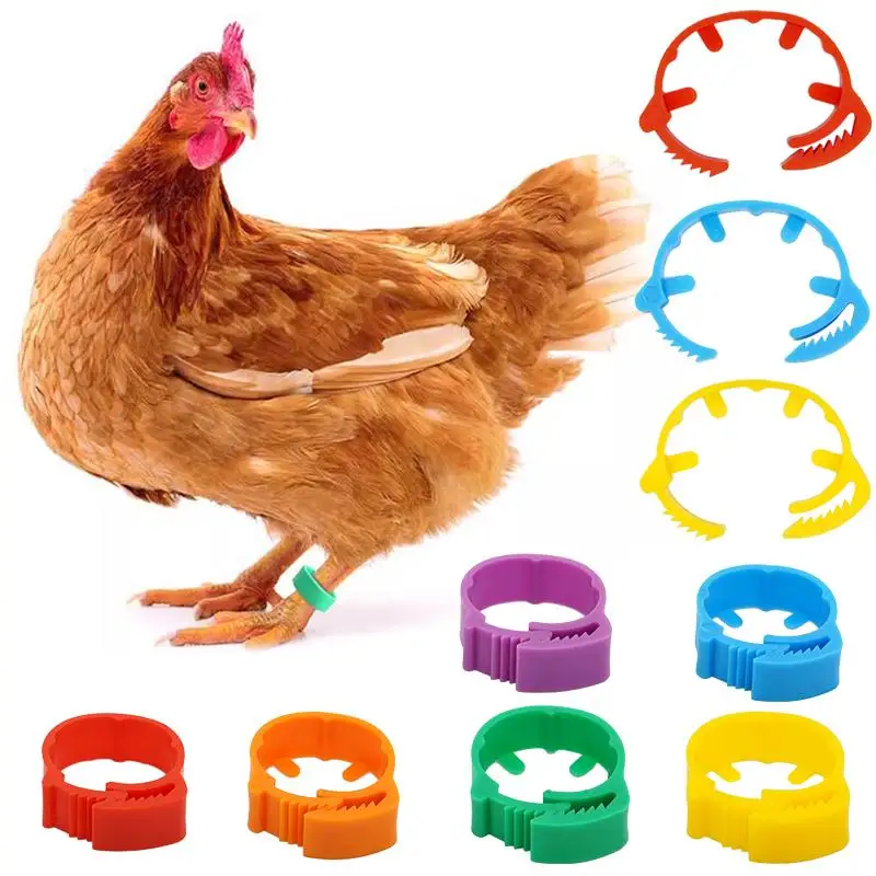 50/100Pcs 23Mm Open Adjustable Chicken Foot Rings Plastics Poultry Leg Rings No Number Buckle Clip Goose Pigeon Raising Tools