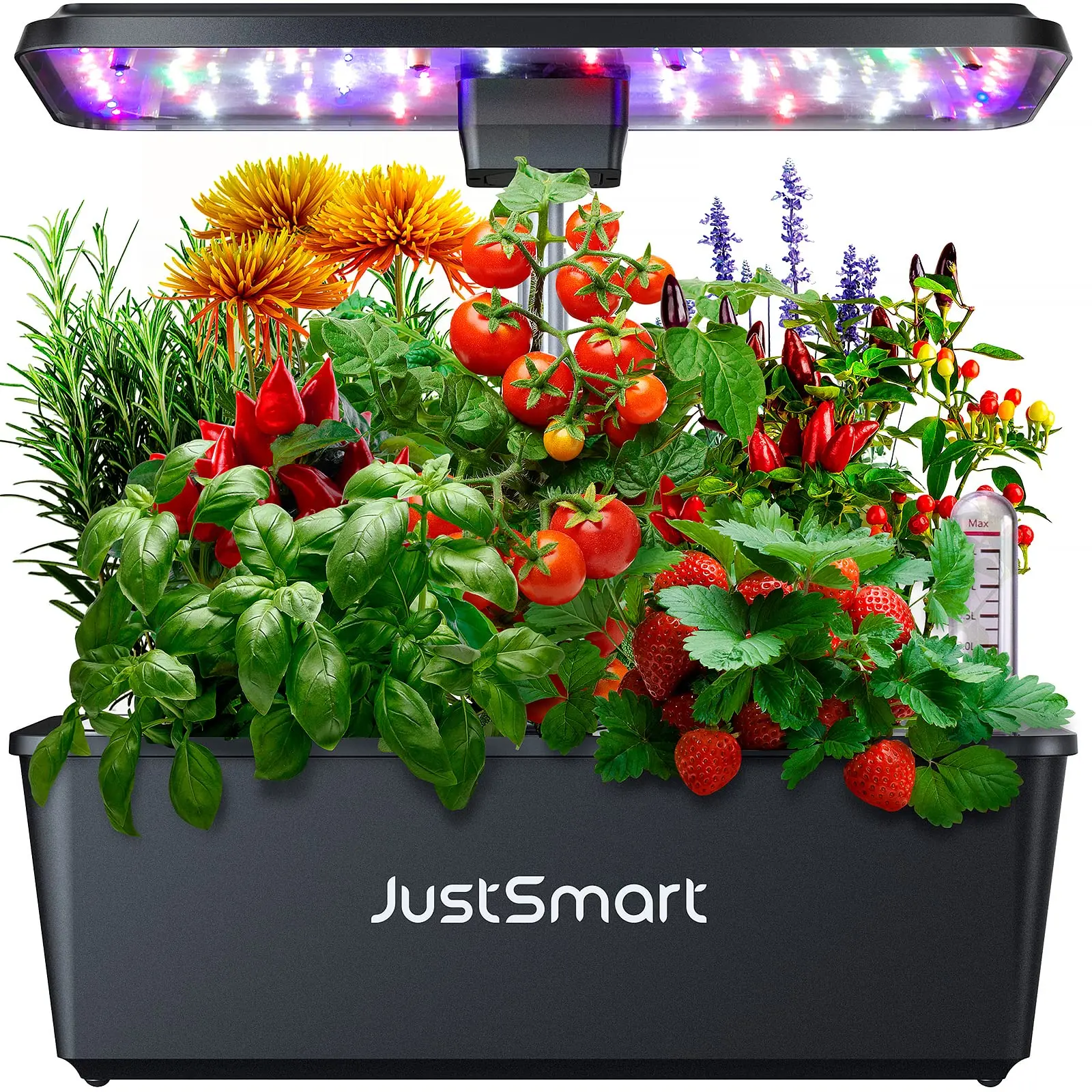 12 Pods Hydroponics Growing System, Indoor Herb Garden with 36W 5 Color Full Spectrum LED Grow Light, Automatic Timer