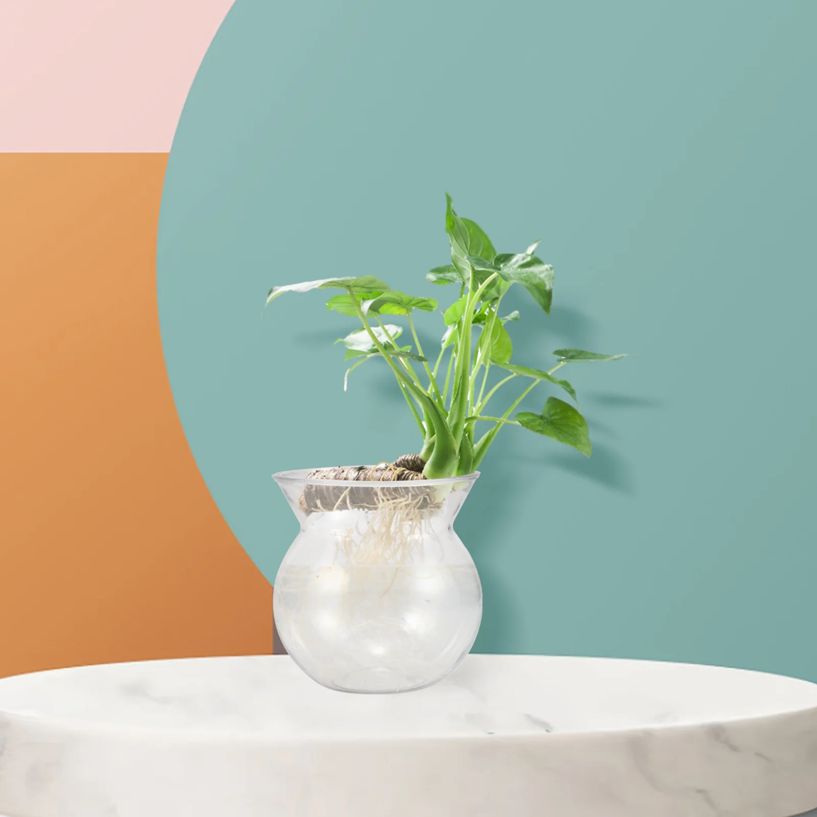 

6Pcs Transparent Mini Plastic Flower Pot Creative Clear Plant Holder for Small Indoor Plants Desktop Succulents Decoration