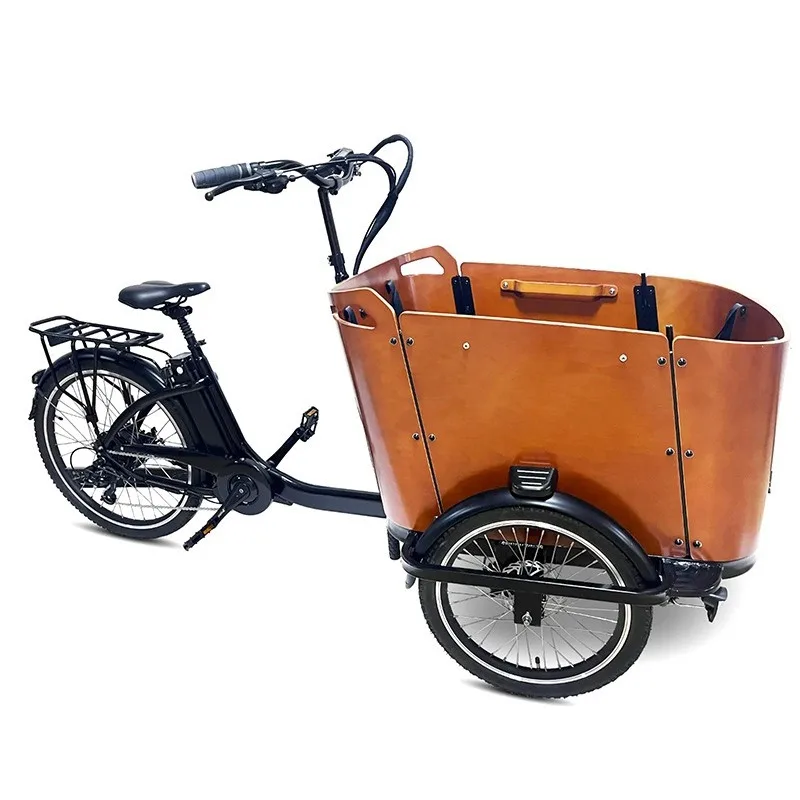 Inverted three-wheeled freight bicycle octagonal central motor electric power