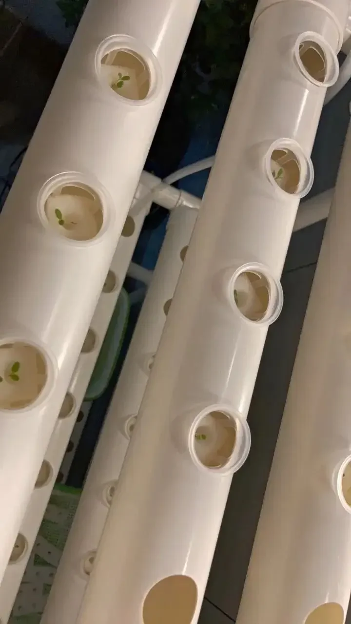 2026 Home Garden Hydroponic Plant Rack Grow Box Indoor Plant Growing Systems for Vegetables and Herbs