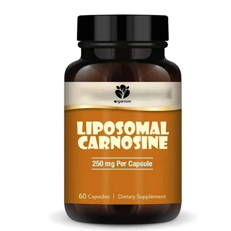 Liposomal Carnosine - Supports Cell Health and Energy -250mg L-carnitine with Liposomal Delivery