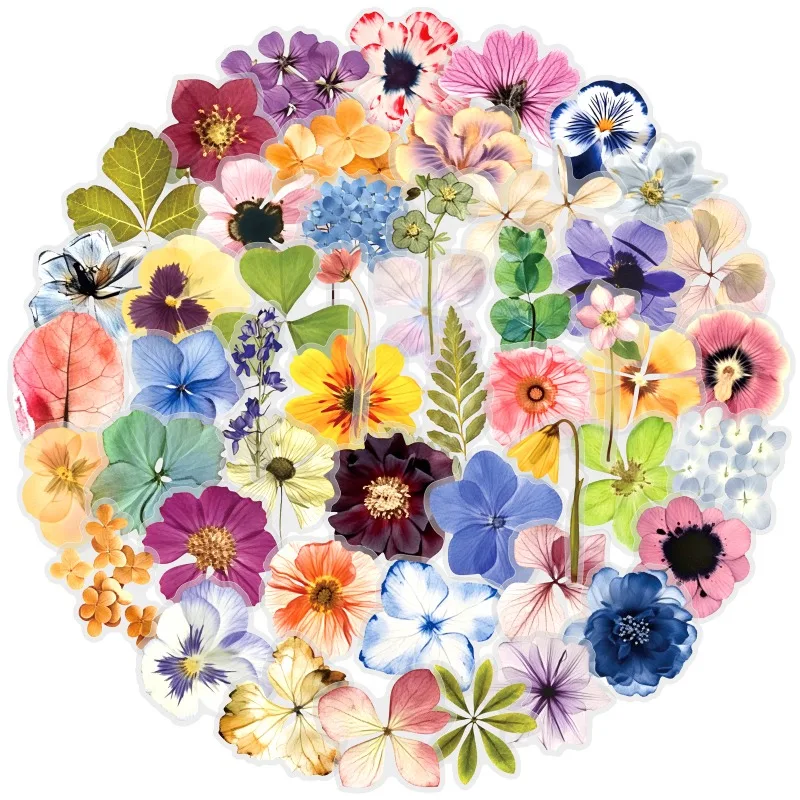 50 Transparent Watercolor  Large Flower  Embossed  Hand Account Water Cups  Flat Water Cup Files  Decorative  Stickers