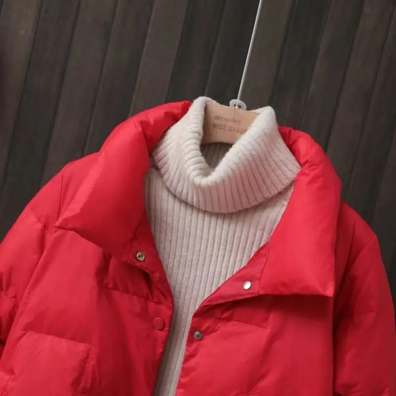 Herbst Winter Unten Jacke Für Frauen 2024 Solide Stehkragen Plaid Ultraleicht Weiße Ente Unten Mantel Warm Halten Puffer Jacke weibliche