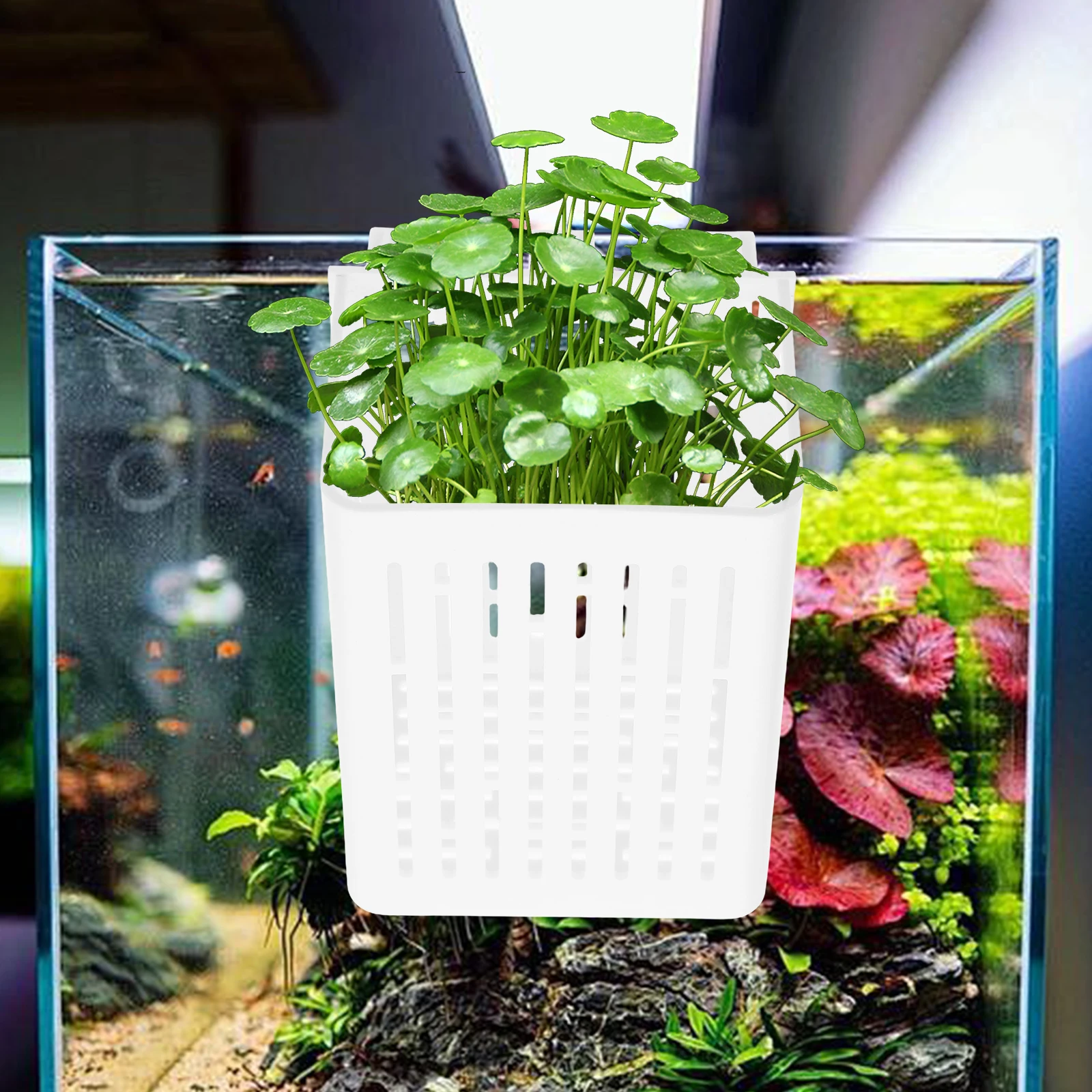 

Hydroponic Planting Basket Cup Riser Plants Aquarium Planter Acrylic Holder Pot Aquaponics Growing System Fish Tank Accessories