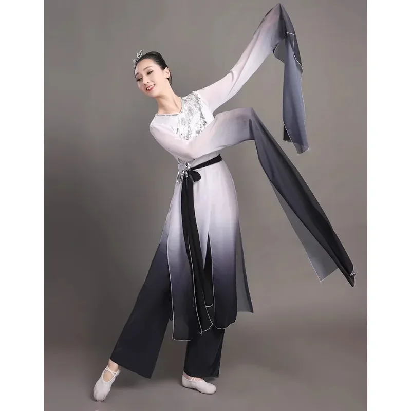 Costume da performance di danza Hanfu con maniche ad acqua da donna Danza classica per uomini e donne, abito da performance di danza con inchiostro, maniche lunghe da donna