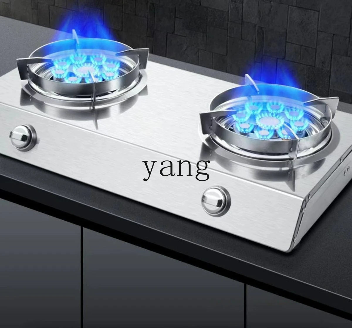 LTT stainless steel gas stove double stove desktop household natural gas stove