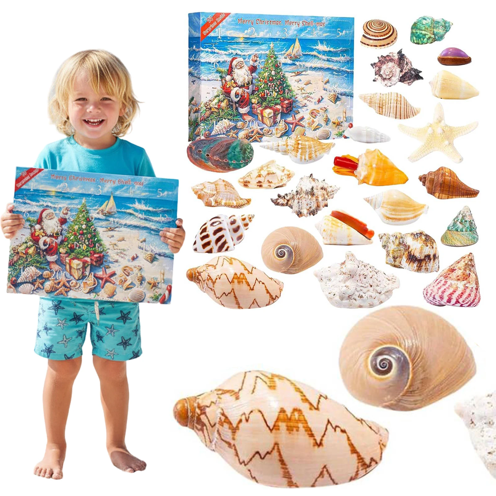 

Seashells 24 Days Christmas Countdown Calendar Xmas Countdown Calendar Holiday Countdown Calendar Holiday Gift for Kids