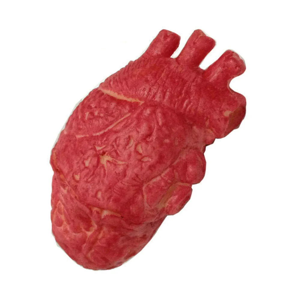 2 Pcs Broken Blood Brain Bloody Organs Halloween Heart Prop Simulation Body Red