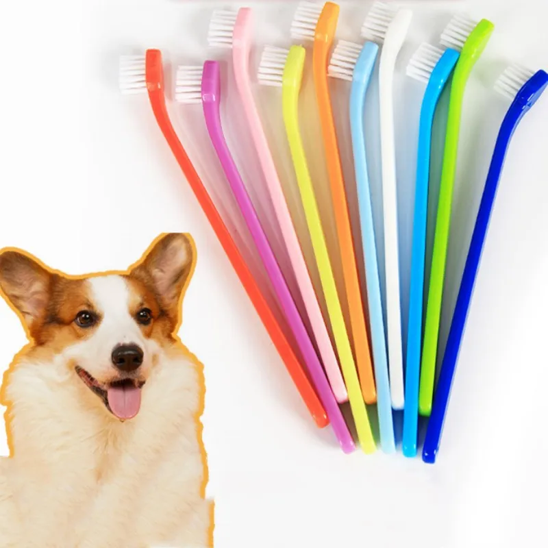 

Dog Toothbrush 2PC Pet Toothbrush Set Single Head Tooth Brush for Dog Teeth Cleaning Oral Care Cat Toothbrushes Set Pet Supplies