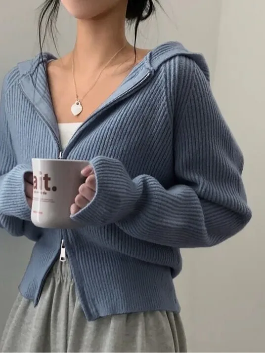 Fashionable Zipper Hoodie Chic Knitwear Casual Street Style Spring Autumn Winter Women's Sweater School Travel Date Daily Life