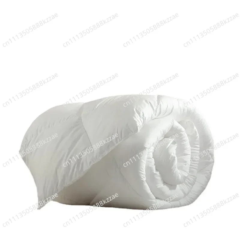 Down duvet 95 white goose down five-star hotel warm double single duvet core goose down duvet