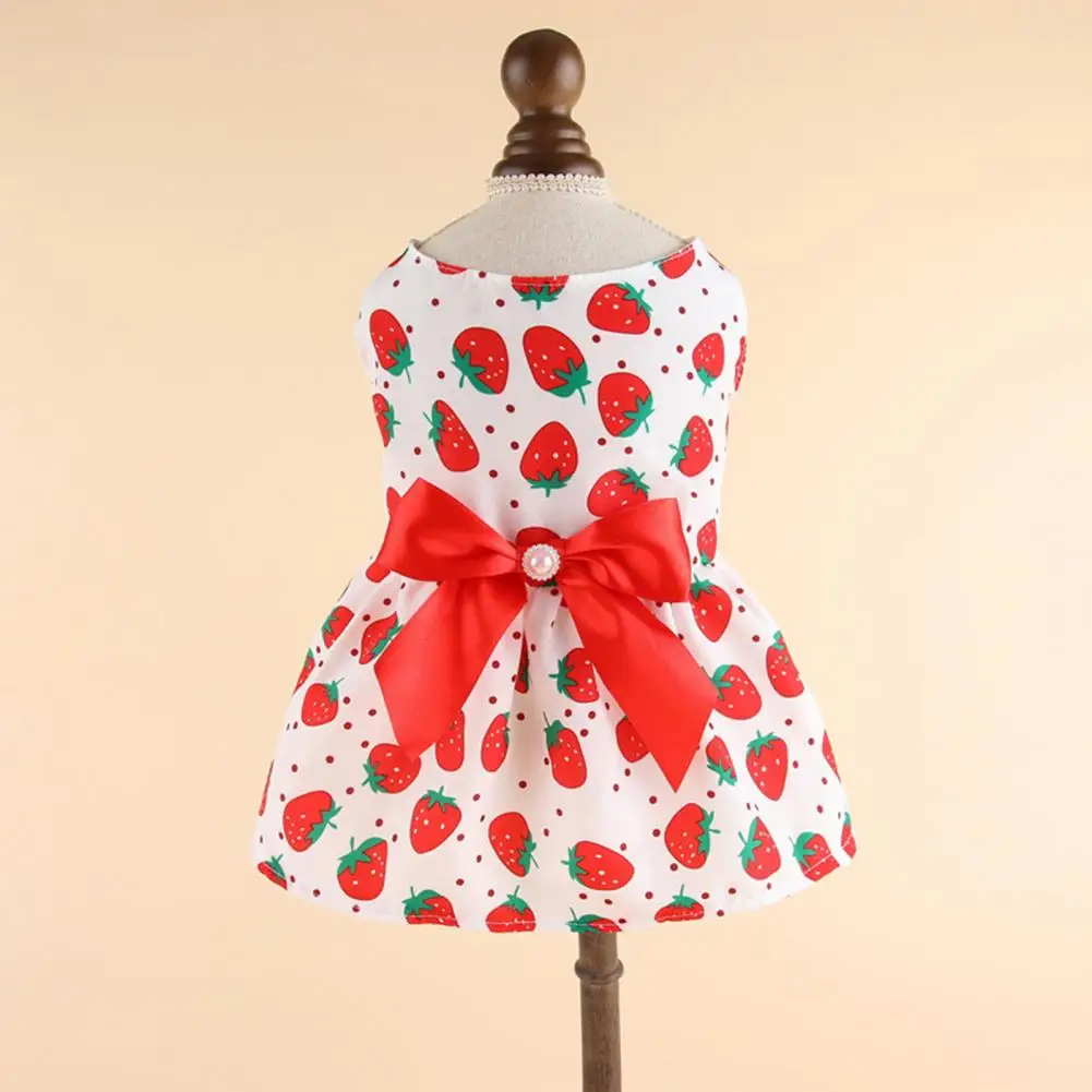 Fruit Print  Durable Soft Touch Puppy Clothing Floral Printing Pet Dress Two-legged   for Home