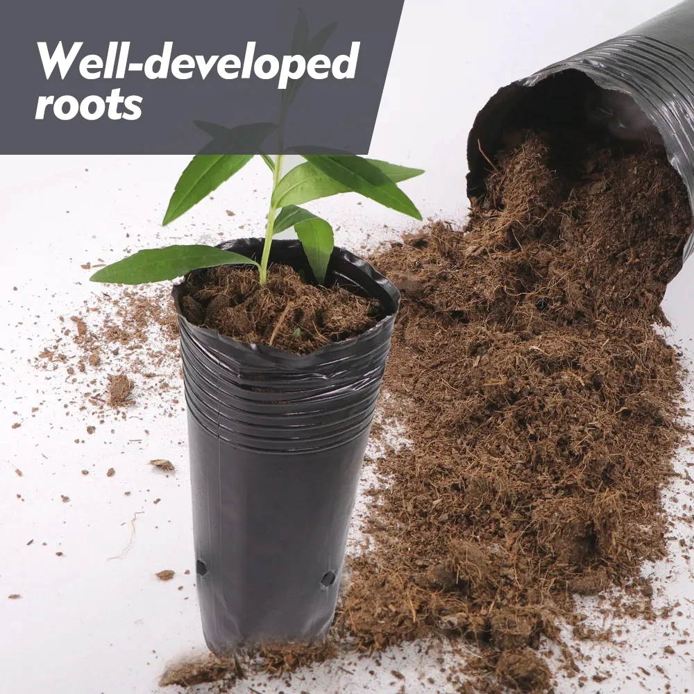 Garden Tall Round Tree Pot  Plants Cultivation Planter Plastic Deep Nursery Containers Flower Grow Pots Tree Growing Containers