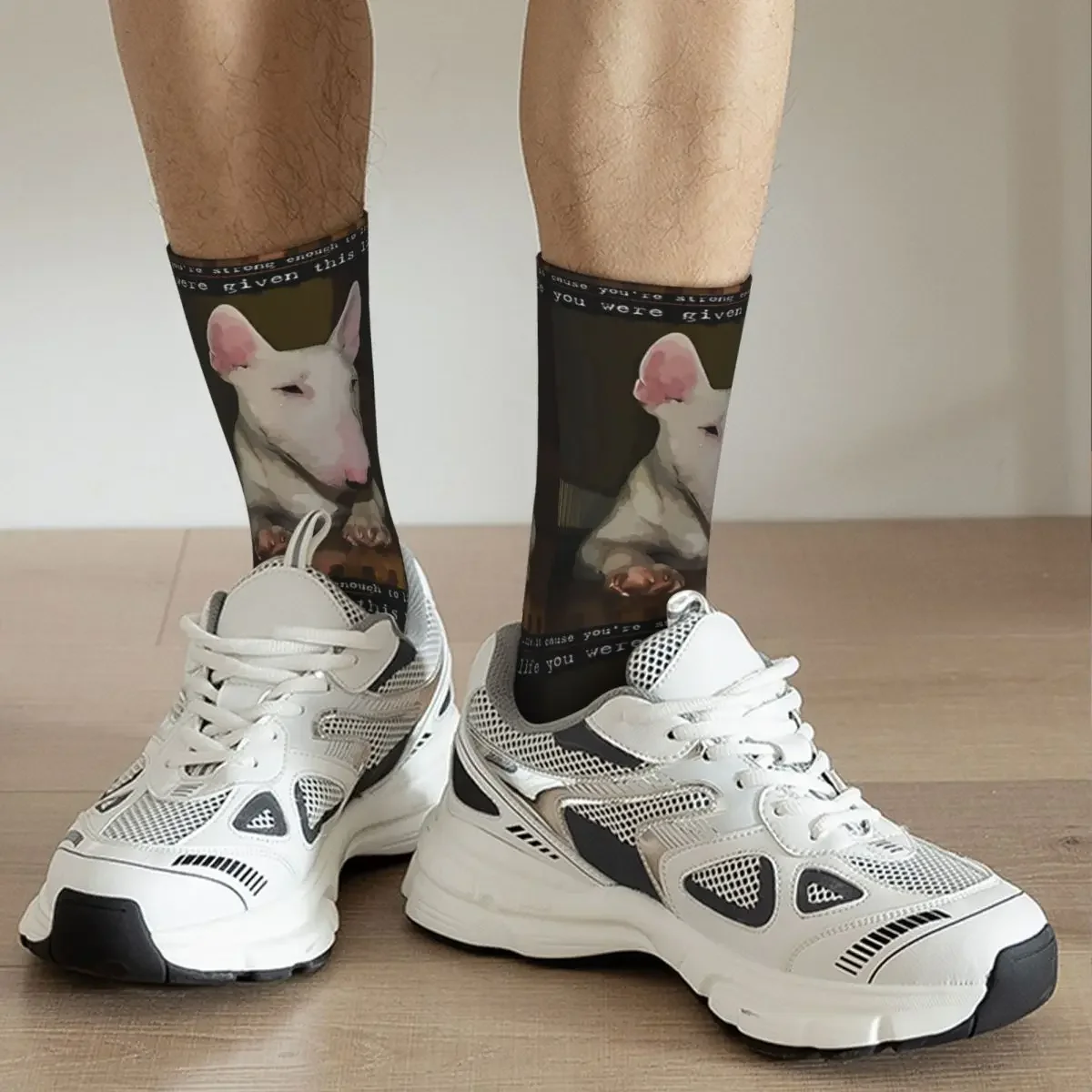 Funny Crazy Sock for Men Humor Vintage Bull Terrier Pet Dog Quality Pattern Printed Crew Sock Novelty Gift