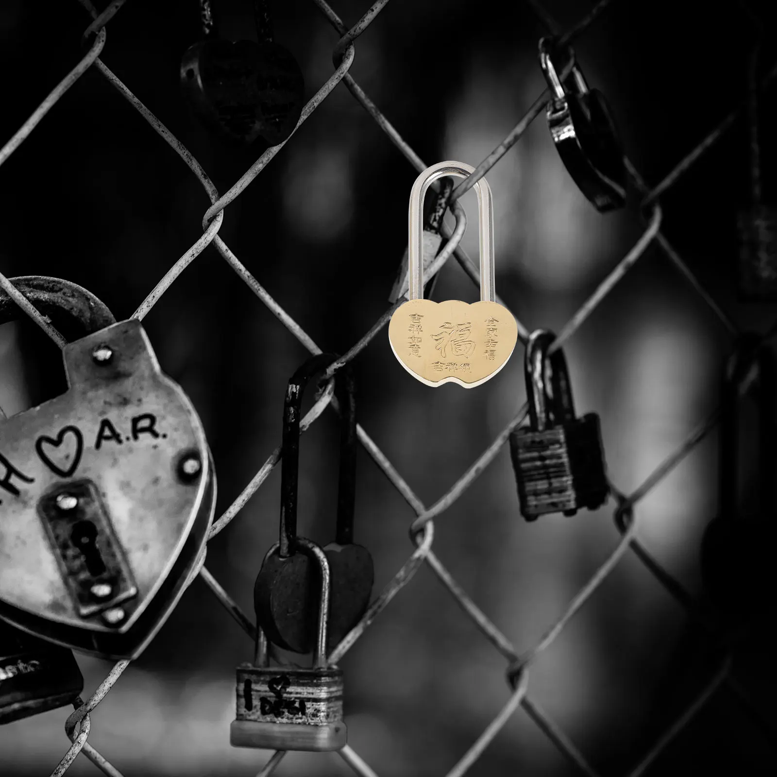 

Vintage Metal Padlock Decorative Wish Lock for Lovers Travel Wedding Anniversary Personalised Lock Love Locks Personalised