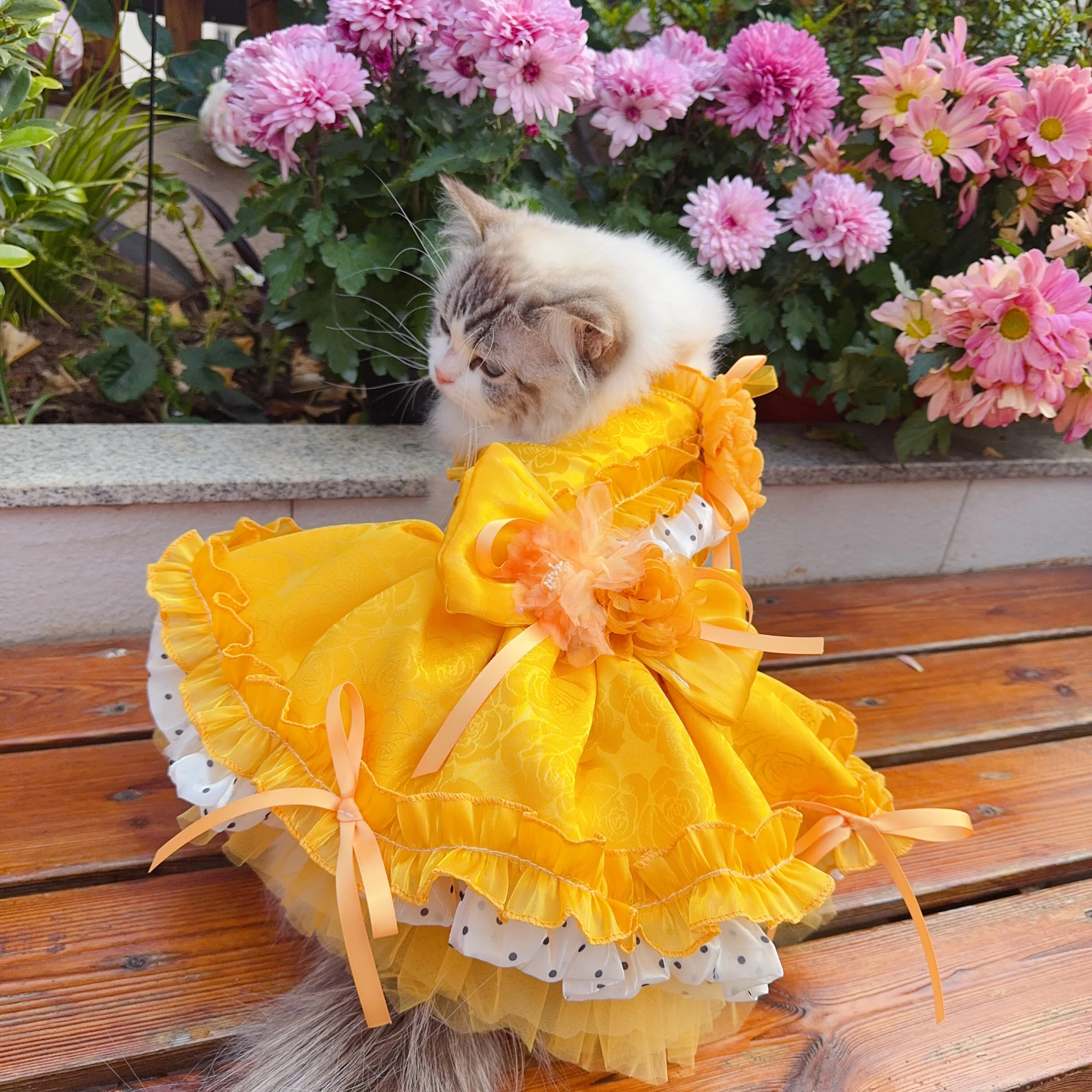 

Платье принцессы для домашних животных Sweet Cat Dog для маленьких собак, кошек, кружевное платье-пачка для щенков, юбка для собак чихуахуа, одежда для собак, платье для собак