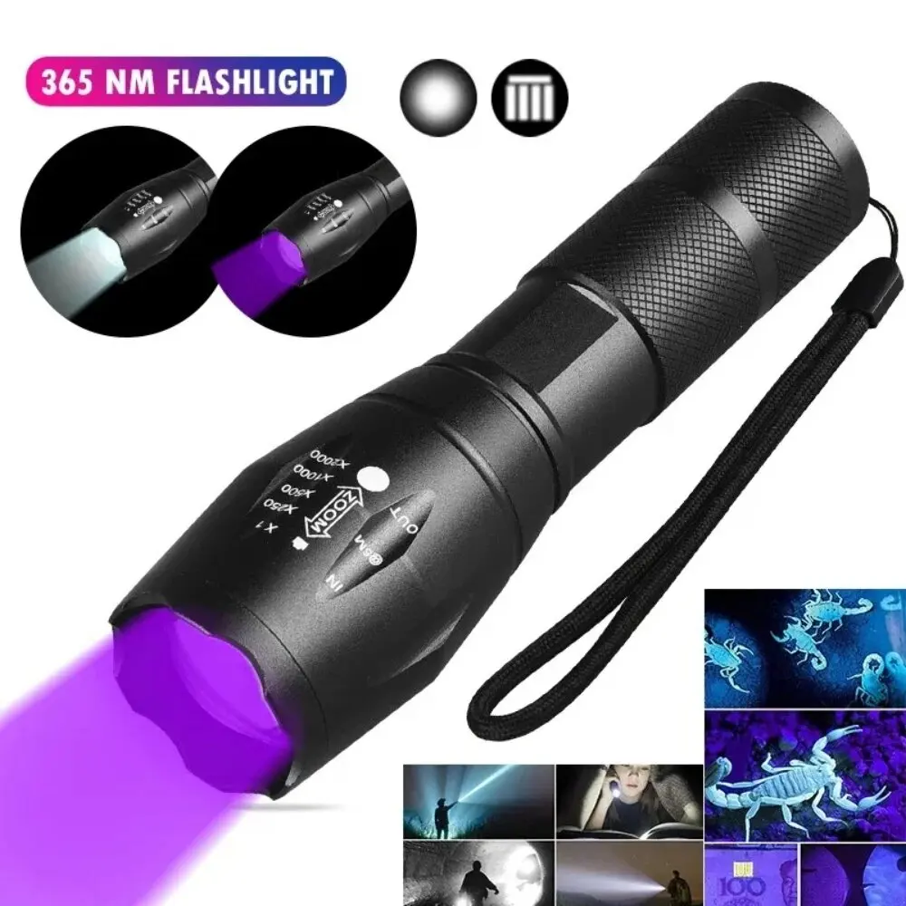 

2-in-1 Type C Rechargeable UV Flashlight Torch Light 395nm Black Light Portable Ultraviolet Light Pets Blacklight Uv Flashlights