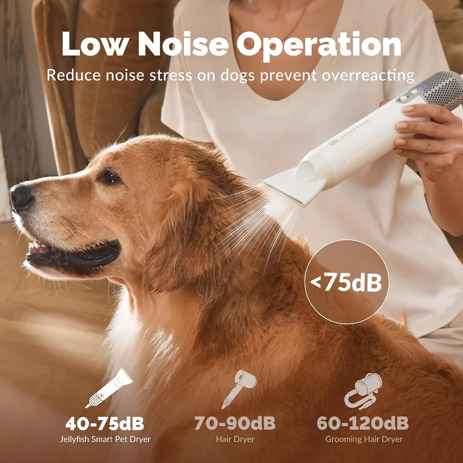 Handheld Dog Dryer, Portable High-Velocity Blow Dryer, 1.21 lb Lightweight with 2 Speeds and 4 Temperature Levels, for Home and Travel