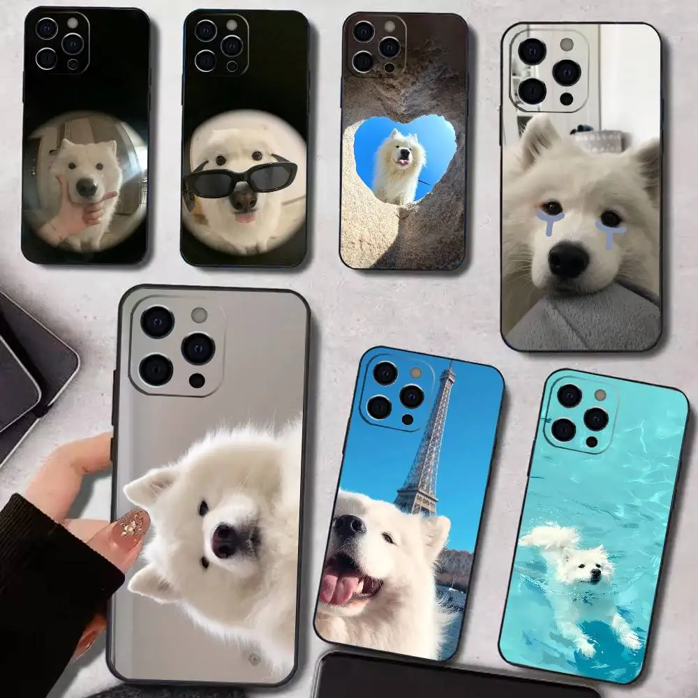 

C-Cute S-Samoyed Phone Case For iPhone 17,16,15,14,13,12,11 Plus,Pro Max,XS,Soft Silicone Black Cover
