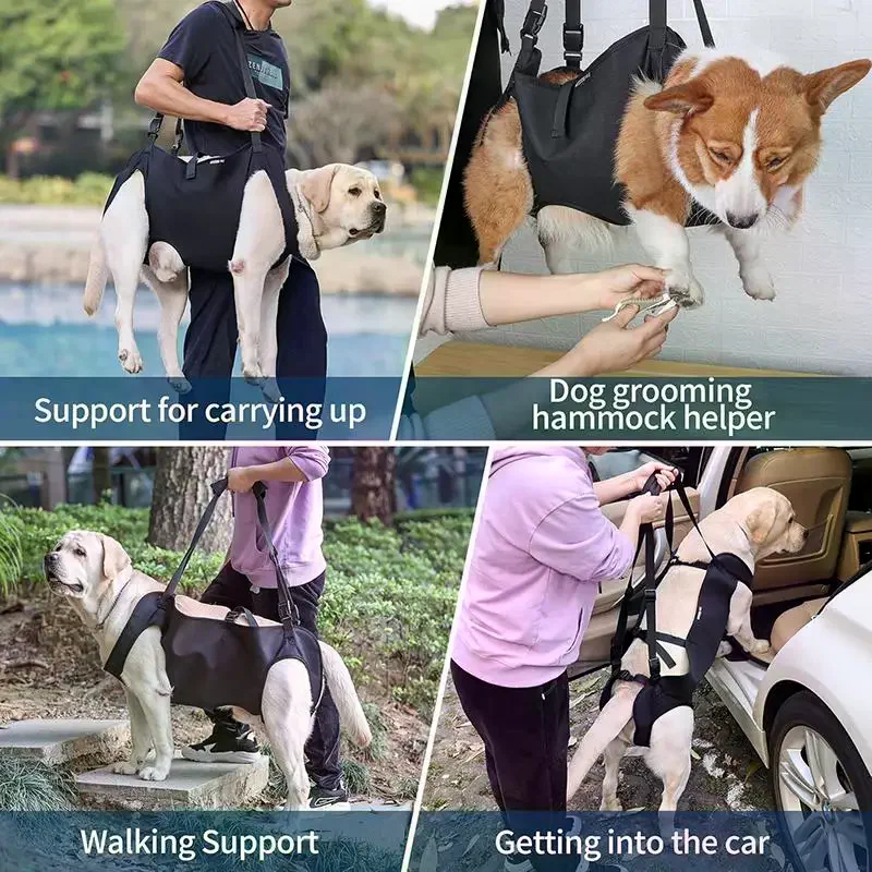 Arnés de Asistencia para Perro - Harness Climbing Adjustable reseña y precio