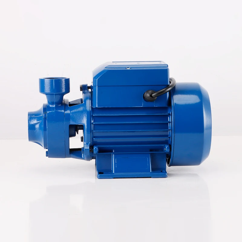 370W Stainless Steel & Iron Booster Centrifugal Pump OEM Energy Efficient 220V/50Hz 3.6m/h 0.4MPa for Domestic Irrigation Use