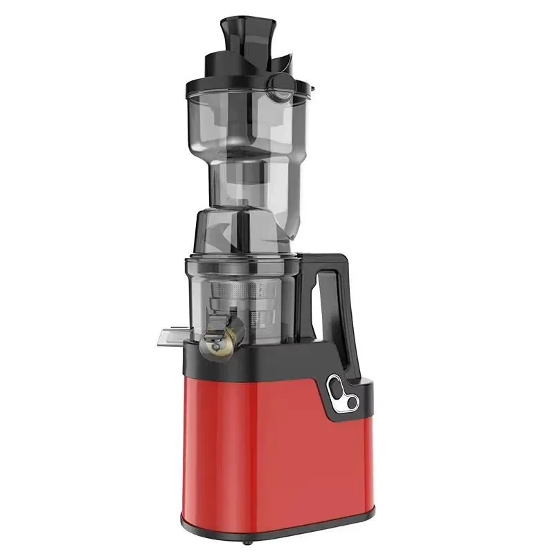 Stainless Steel Electric Slow Juicer for Fresh Vegetables Carrot Cold Press Blender Household