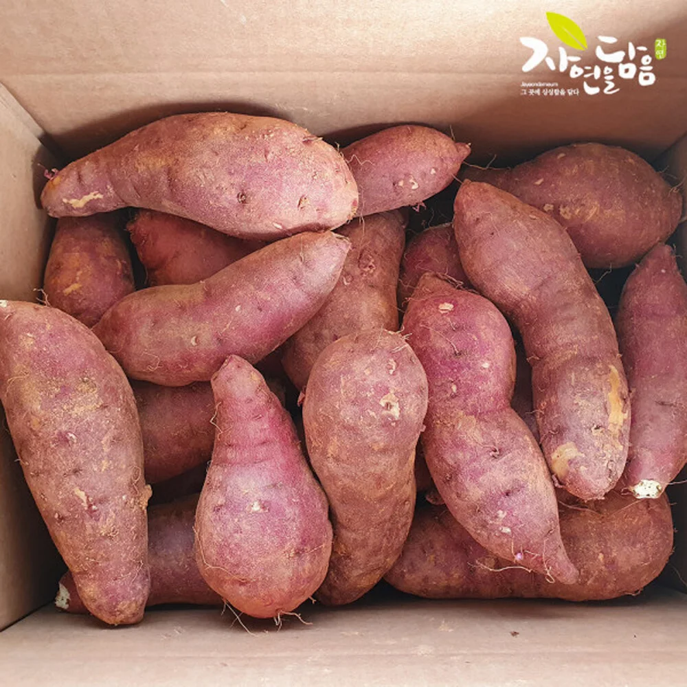 Nature's Bounty Haenam Honey البطاطا الحلوة درجة خاصة 3 كجم، 5 كجم، 10 كجم تشكيلة اختر واحدة #1