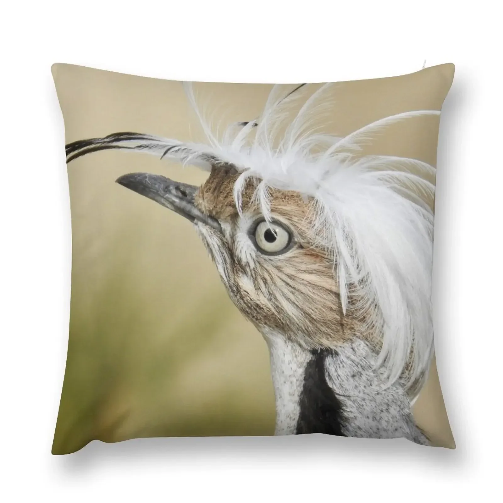 Asian Houbara Bustard Throw Pillow autumn pillowcase Rectangular Cushion Cover Sofa Cushion Christmas Pillows pillow