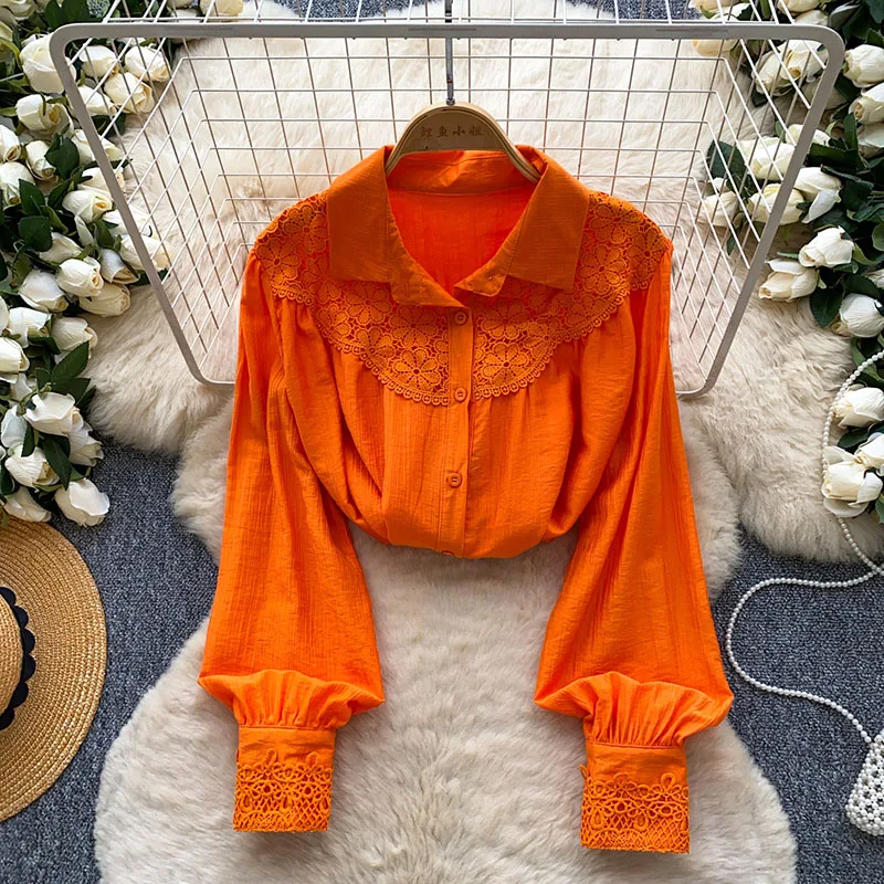 

Весенне-осенняя французская элегантная кружевная рубашка с длинными рукавами, женская новая модная универсальная однобортная блузка D118
