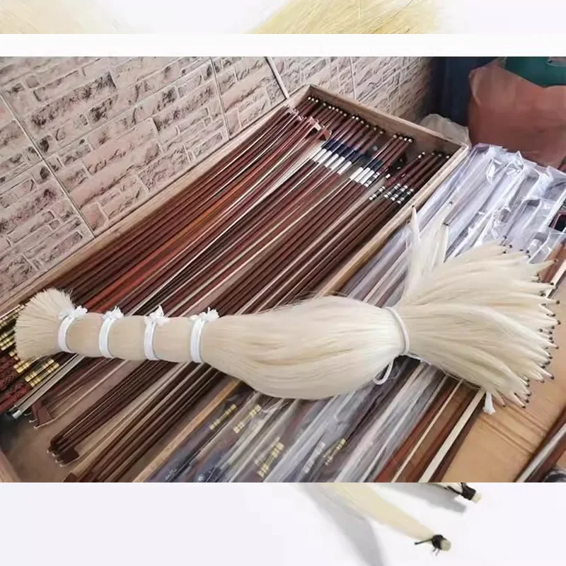 10 Hanks Violin Bow Hair Viola Cello Famliy ,Stallion AAAA Siberian Horsetail White Bow Hair 75 / 80 CM Double Bass Bow Hair