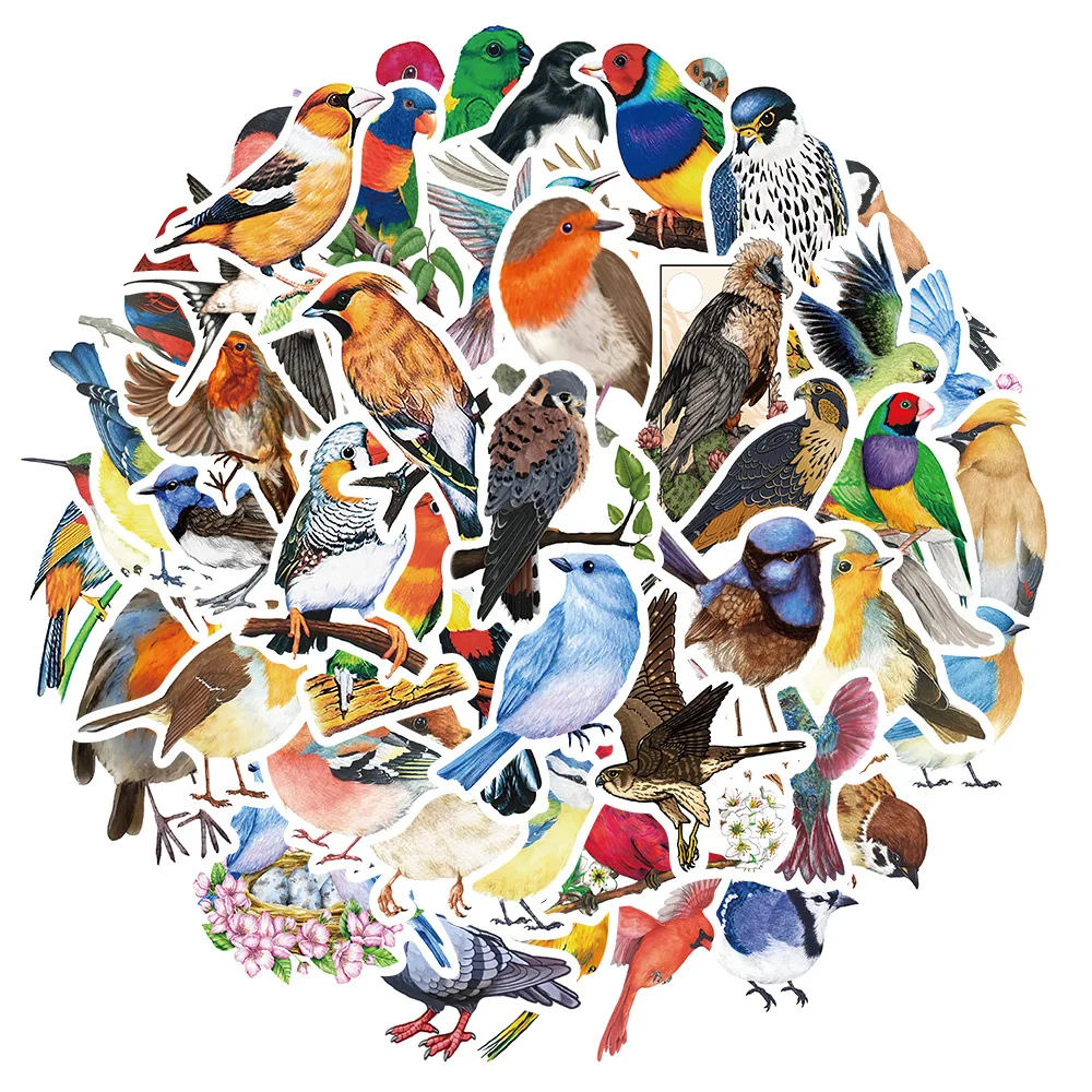 10/30/50Pcs Natural…